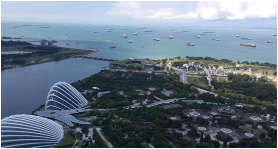 记公海赌船710管理进步奖获得者新马六天游